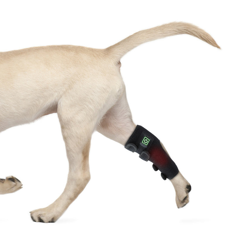 Running dog with Pet Wellness Therapy Belt on hind leg, showing flexible fit and red light therapy benefits for active pet recovery.