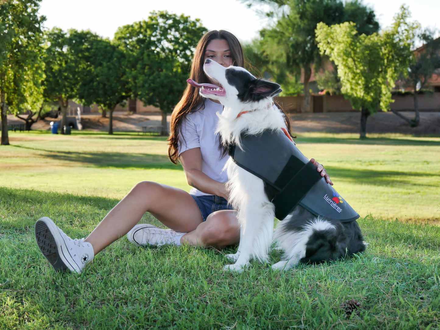 Pet Red Light Therapy Belt on a dog during outdoor bonding time. Supports natural healing and improves pet vitality.