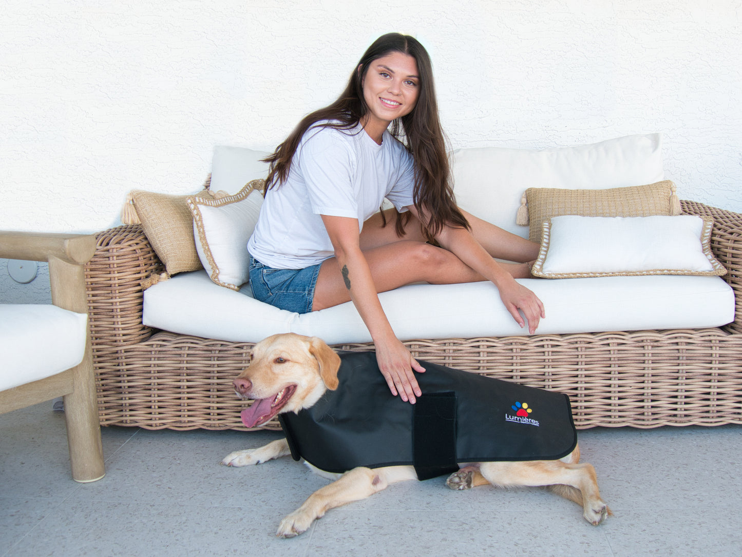 Pet Red Light Therapy Belt wrapped around a dog lying on a couch. Promotes healing and comfort with hands-free light therapy.
